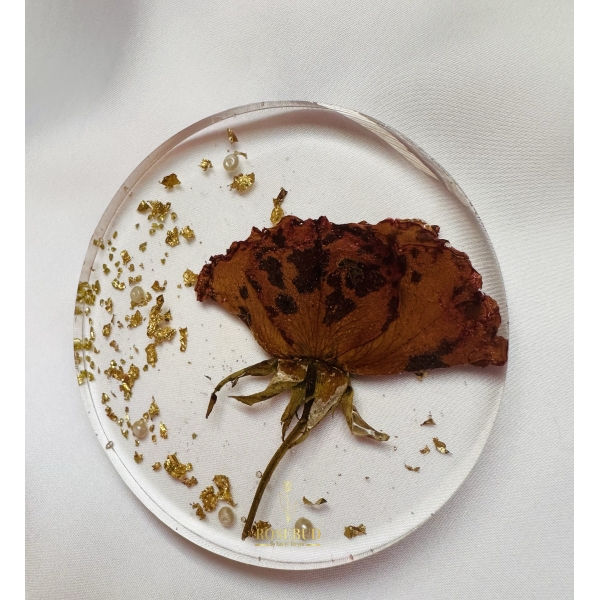 Preserved Rose Coasters - Image 2