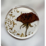 Preserved Rose Coasters