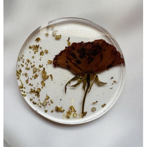 Preserved Rose Coasters